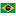 Português BR