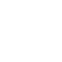 Sexo Feminino